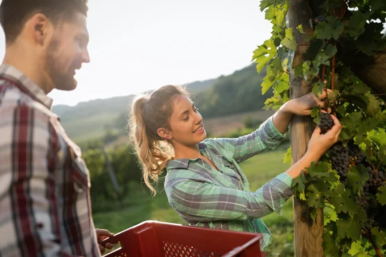 Agriculture, sylviculture